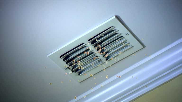 Best Affordable HVAC Duct Cleaning  in Snyderville, UT